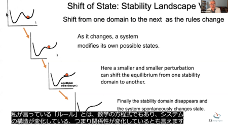 レジリエンス Ⅱ：安定と変化の探求_システムのダイナミクス（ヤン・センジミール博士）